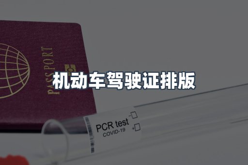 机动车驾驶证排版